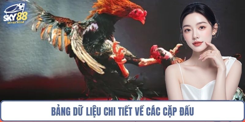 Bảng dữ liệu chi tiết về các cặp đấu