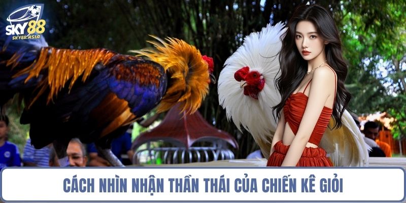 Cách nhìn nhận thần thái của chiến kê giỏi