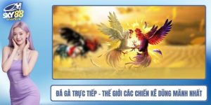 Đá Gà Trực tiếp