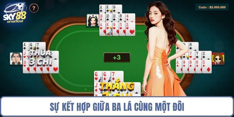 Sự kết hợp giữa ba lá cùng một đôi
