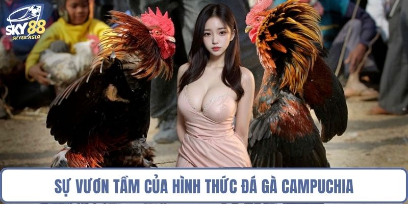 Sự vươn tầm của hình thức đá gà Campuchia