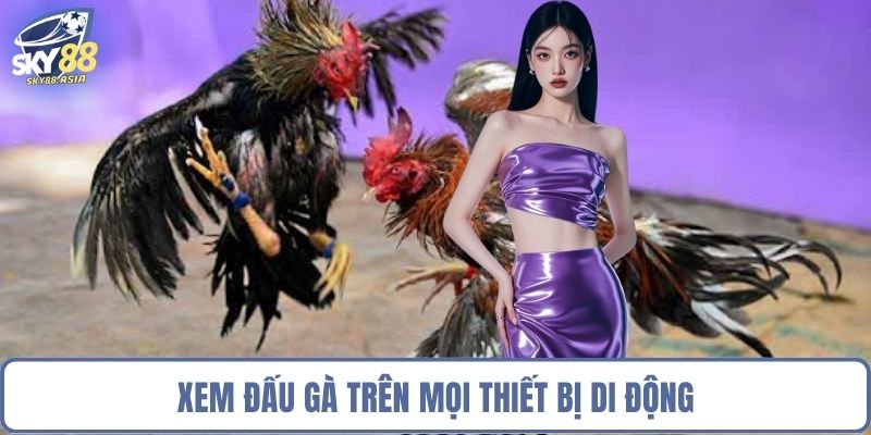 Xem đấu gà trên mọi thiết bị di động