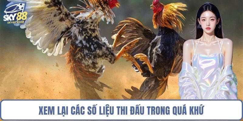 Xem lại các số liệu thi đấu trong quá khứ